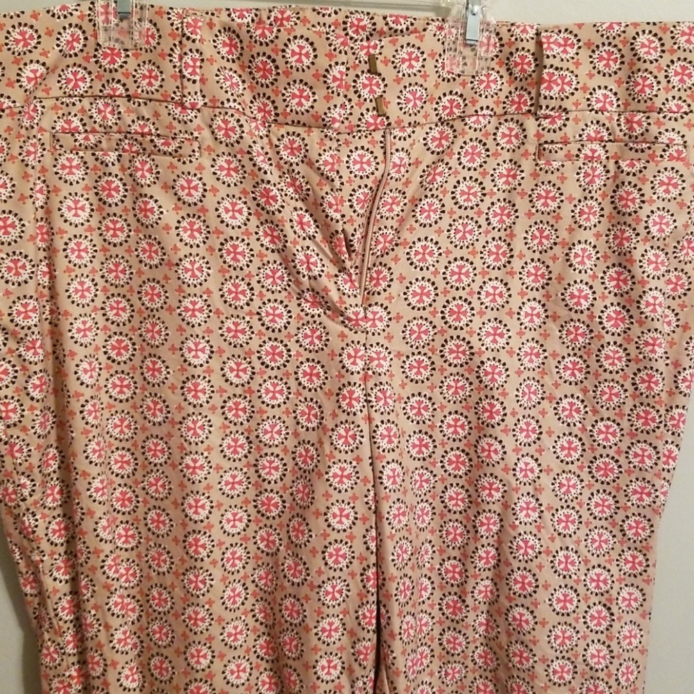 Loft ankle pants
